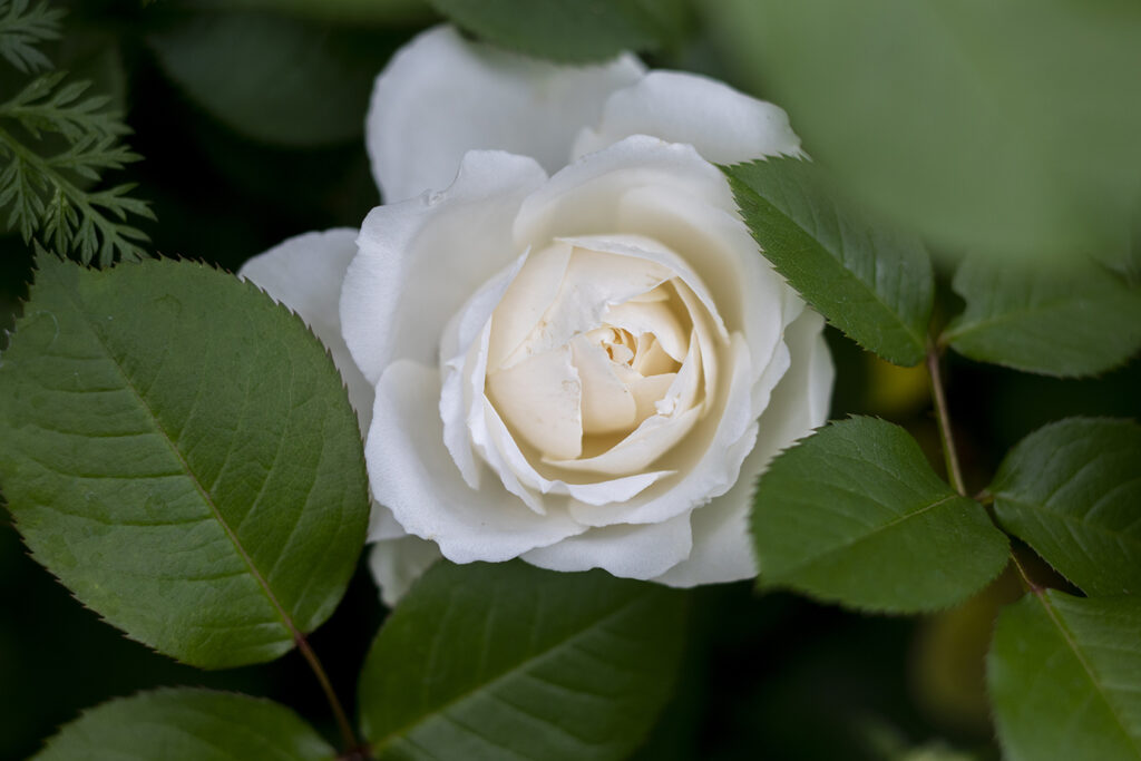 gc230503_018